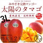 太陽のタマゴ 特大玉2玉 3L 2025年度 宮崎 マンゴー フレッシュ 産地直送 母の日 贈り物 お中元 ギフト 果物 くだもの フルーツ 送料無料