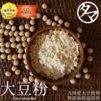 大豆粉 九州産大豆100％使用 500g BCAA ロイシン ソイ パウダー 栄養 レシピ たんぱく質 糖質制限 ダイエット 無添加 送料無料