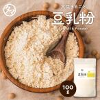 豆乳粉末 九州産 100g 大豆 豆乳 粉 パウダー 豆腐 ソイミルク 送料無料