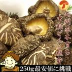 中粒干しどんこしいたけ 250g 国産 九州 無農薬 原木栽培 激安 乾燥 乾し 干し 原木 椎茸 シイタケ きのこ 国産 ダシ 出汁 お試し