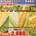 南九州産朝採れとうもろこし10本福袋！５大人気とうもろこしを２〜５種類詰めでお届け！