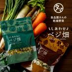 ショッピング野菜 乾燥野菜 ななつのしあわせベジ畑 国産 完全砂糖不使用 手軽 便利 低温ドライ製法 7種 ミックス ドライ野菜 フードロス対策 干し野菜 非常食 送料無料