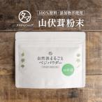 ヤマブシタケ パウダー 山伏茸 粉末 60g キノコ 国産 やまぶし きのこ 送料無料