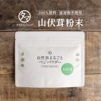 山伏茸粉末 60g 山伏茸 粉末 パウダー 国産 やまぶし 茸 きのこ 送料無料