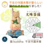 кошка. изображение Будды кошка buddhanyambda серии . главный ..книга@.. год. документ . бодисатва 