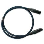 Siltech XLR кабель Explore SG XLR 1m порог двери Tec межсоединительный кабель пара 1.0m