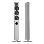 PIEGA динамик ACE 50 серебряный пара piega tallboy type динамик 