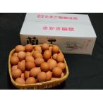  предубеждение Tama .* орхидея .~MS размер 5kg[67 шт ~75 шт + повреждение гарантия 20 шт ] великолепный .. orange цвет. яичный желток цвет яйцо Tama . свежий 