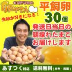 平飼い卵 30個 あすつく 純国産鶏 産