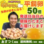 平飼い卵 50個 あすつく 純国産鶏 産地直送 朝採れ 朝どり 信州産 本州四国 送料無料 卵かけご飯 お菓子作り