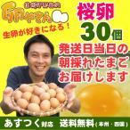 さくら卵 30個 あすつく 純国産鶏 産地直送 朝採れ 朝どり 信州産 本州四国 送料無料 卵かけご飯 お菓子作り