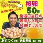 さくら卵 50個 あすつく 純国産鶏 産