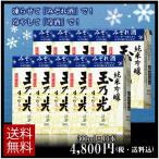 ギフト 玉乃光 日本酒 純米吟醸 みぞれ酒 青パック 300ml×10個セット 大人の かき氷 酒カクテル 送料無料 純米 アウトドア 凍結酒 誕生日 内祝 内祝い お返し