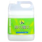 大容量 緑の魔女 キッチン(食器用洗剤) 5L