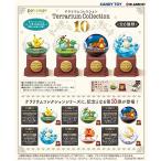 リーメント ポケットモンスター テラリウムコレクション10 BOX