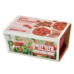 . новый керамика огород простой культивирование комплект мини помидоры салон душистые травы овощи культивирование комплект примерно 24×15cm ENJOY PLANTER VEGE День матери 