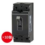 安全ブレーカ テンパール工業 B-2EA 30AF 20A B-2EA20　１０個セット