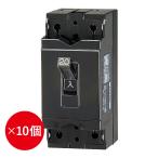 10個セット 安全ブレーカ テンパール工業 B-2EA 30AF 20A B-2EA20