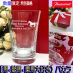 ショッピングバカラ 数量限定　馬 お祝い バカラ　グラス　ハイボール　競馬  乗馬　午年　メッセージ彫刻　古稀喜寿　記念日　ハイボール ミルニュイ