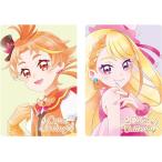 [10 шт продажа поотдельности ] Precure карта вафли 9 Shokugan * вафли *20 штук входит. BOX распродажа нет.