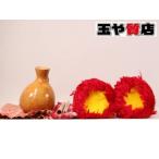 uliuli в одном корпусе 1 на ippili Hawaiian музыкальные инструменты 