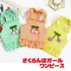 ＼お得なSALE開催中／犬服犬の服...