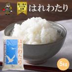 米 お米 5kg 白米 はれわたり 令和6年産 青森 夏ギフト お中元 2025