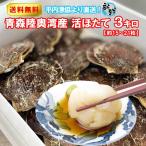 ホタテ 殻付き 活ホタテ 青森陸奥湾産 3キロ 送料無料 生食 刺身 通販 OXY元気! 春ギフト 母の日
