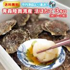 ショッピングホタテ ホタテ 殻付き 活ホタテ 青森陸奥湾産 3キロ 送料無料 生食 刺身 通販 OXY元気！ お中元 御中元