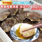 ホタテ 殻付き 活ホタテ 青森陸奥湾産 10キロ 送料無料 生食 刺身 通販 OXY元気！ お中元 御中元 父の日