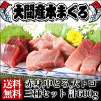 送料無料 青森県産 大間 本マグロ 3