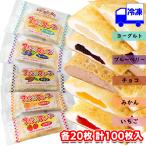フレンズクレープ 5種セット ヨーグルト風 ブルーベリー チョコ ミカン いちご (各20枚 計100枚入) 冷凍