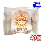 日東ベスト 焼きプリンタルト 30ｇ×