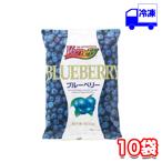 ショッピングブルーベリー 業務用 フルーツ VeryBerry  ブルーベリー 500g ×10袋 セット ノースイ フルーツ 冷凍