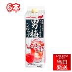 Yahoo! Yahoo!ショッピング(ヤフー ショッピング)ポッカサッポロ 男梅シロップ 1000ml 6本 セット