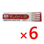 はみがき粉 ハミガキ粉 薬用歯磨き