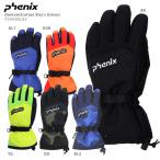 スキー グローブ キッズ ジュニア PHENIX フェニックス 子供用 2020 Demonstration Boy's Gloves / PS9G8GL82 19-20 旧モデル 〔SA〕