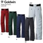 スキー ウェア メンズ レディース GOLDWIN ゴールドウイン パンツ 2021 G30310P Thebe GTX Pants テーベGTXパンツ 【GORE-TEX】 20-21 旧モデル