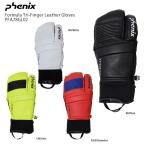 スキーグローブ PHENIX フェニックス 2021 PFA78GL02 Formula Tri-Finger Leather Gloves フォーミュラ トリフィンガー レザーグローブ 20-21 旧モデル