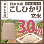 【特別栽培米】玄米 