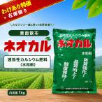 wa. есть товар Neo karu1kg( производитель : Yoshino камень . распродажа ) кальций удобрение порошок удобрение качество улучшение [.. есть причина : год производства месяц день эпоха Heisei 29.02 долгое время наличие темное место склад хранение товар ]