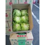  lettuce Nagasaki префектура производство * Kyushu каждый префектура производство 1 кейс 10 шар ~14 шар входить 