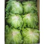  lettuce Nagasaki префектура производство * Kyushu каждый префектура производство 1 кейс 5 шар ~7 шар входить 