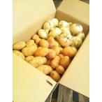  новый лук репчатый ( лук репчатый )* новый картофель ( картофель ) Saga префектура производство * Kyushu каждый префектура производство 2 товар ... комплект 