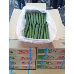  огурец Saga префектура производство 1 кейс примерно 5kg