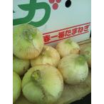  новый лук репчатый * лук репчатый Saga префектура производство 1 кейс примерно 10kg