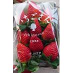 [ клубника san ] Saga префектура производство клубника flat tray 1 кейс 2 упаковка входить 