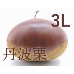  Tanba каштан 3L 1kg Tanba сельское хозяйство .
