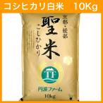 ショッピング米 10kg 【令和7年産】コシヒカリ 100% 聖米10kg【白米】