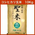 ショッピング米 10kg 送料無料 【令和7年産】コシヒカリ 100% 聖米10kg【玄米】